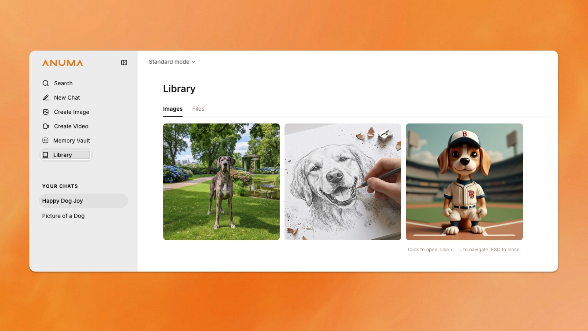 Anuma Library interface showing saved images and files