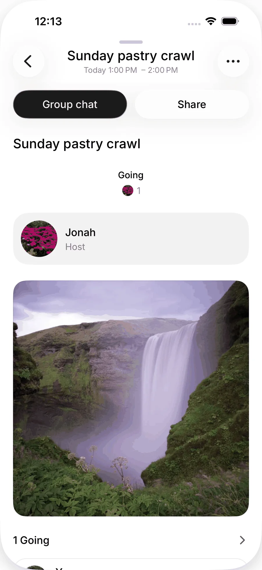A meetup you host on iOS with Group chat and Share buttons, the going count and the cover photo